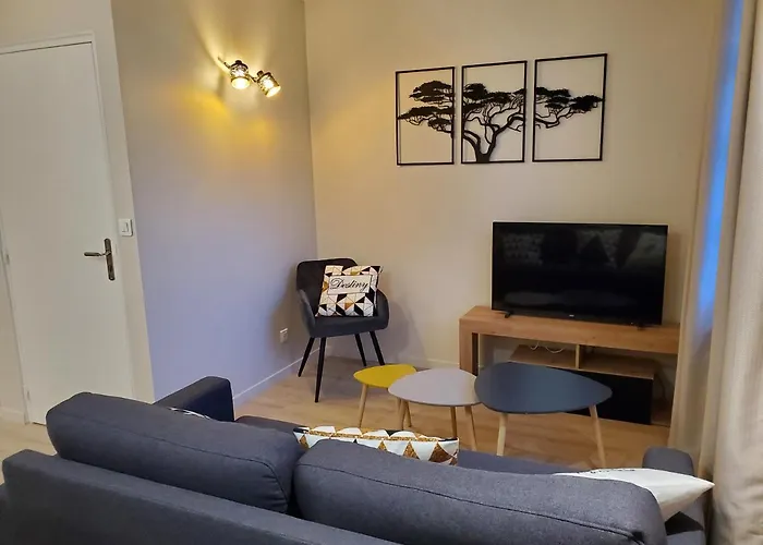 Superbe T2 Lumineux En Centre-ville - Parking アルビ