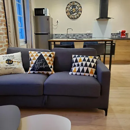 Superbe T2 Lumineux En Centre-ville - Parking Lejlighed Albi