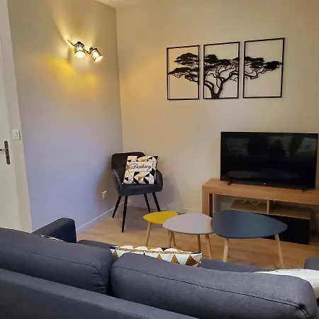 Superbe T2 Lumineux En Centre-ville - Parking Albi