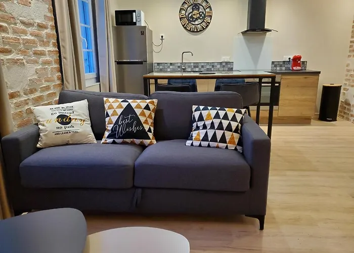 Superbe T2 Lumineux En Centre-ville - Parking Lejlighed Albi